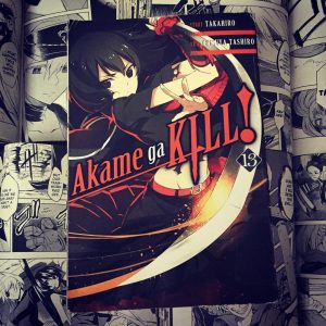 Akame ga Kill Volume 13 Cover