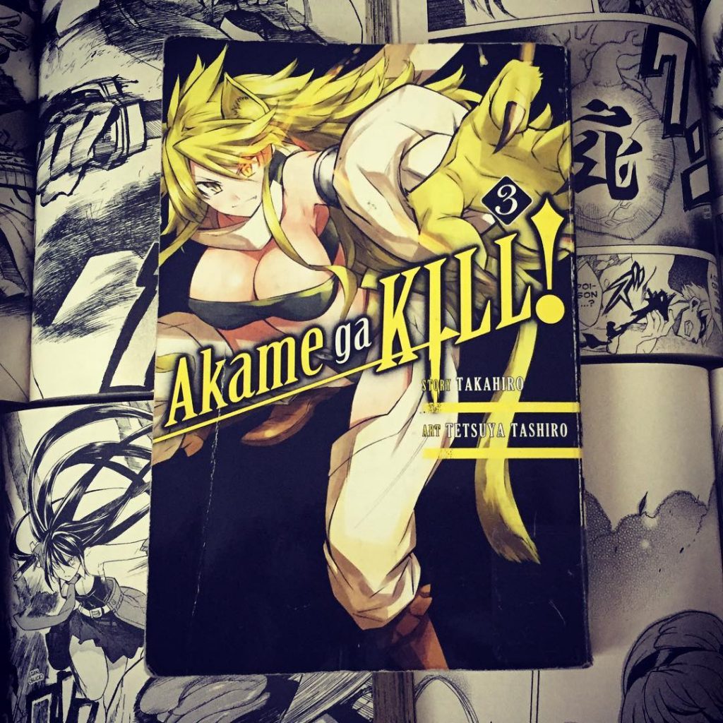 Akame ga Kill Volume 3 Cover