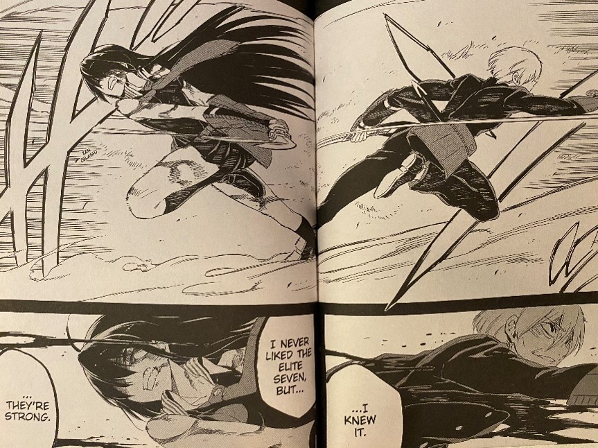 Akame ga Kill Volume 13 Akame wipes out assassins