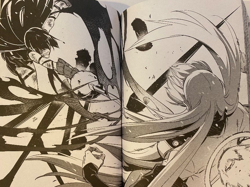 Akame ga Kill Volume 15 Akame kills Esdeath