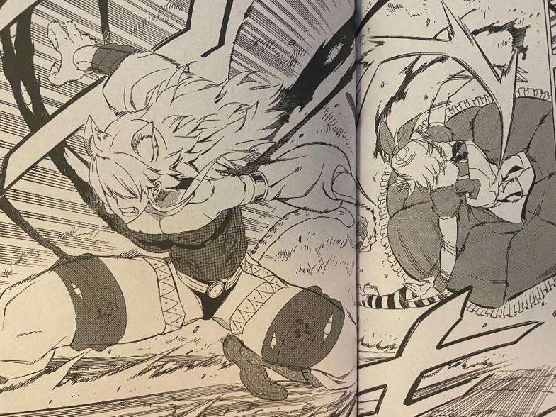 Akame ga Kill Volume 12 Leone versus Dorothea
