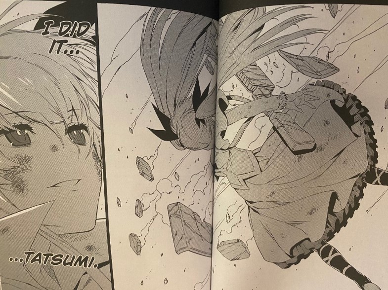 Akame ga Kill Volume 12 Mine pushes herself too far