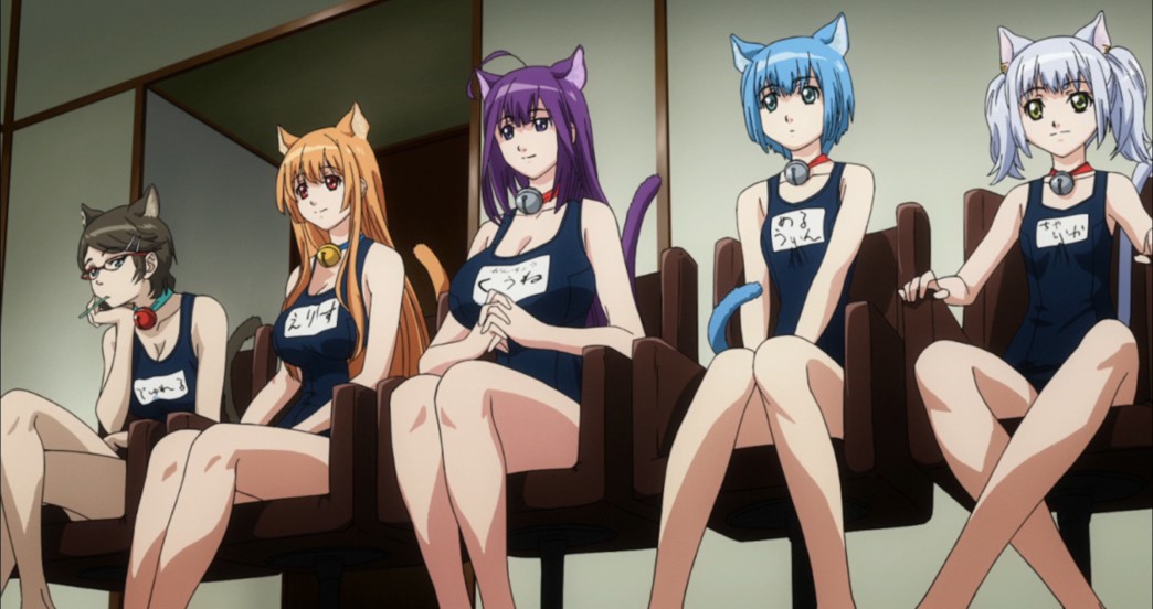 Cat Planet Cuties Episode 3 Negotiations with the human swimsuit boobs.