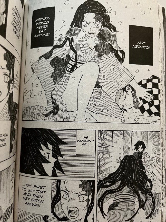 Demon Slayer Kimetsu no Yaiba Volume 1 Nezuko protecting Tanjiro