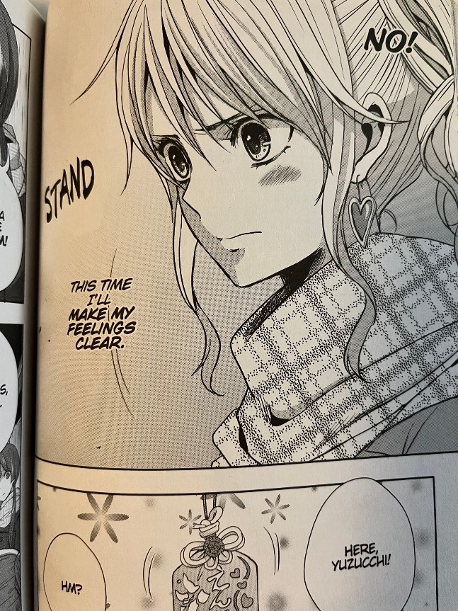 Citrus Volume 4 Yuzu determined