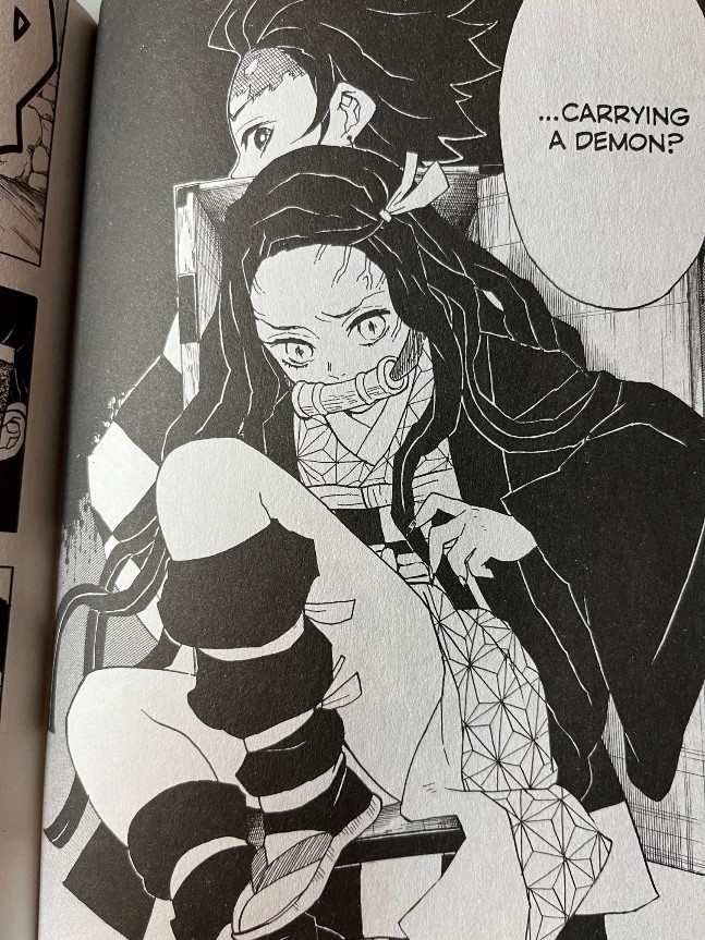 Demon Slayer Kimetsu no Yaiba Volume 2 Nezuko comes out of her box