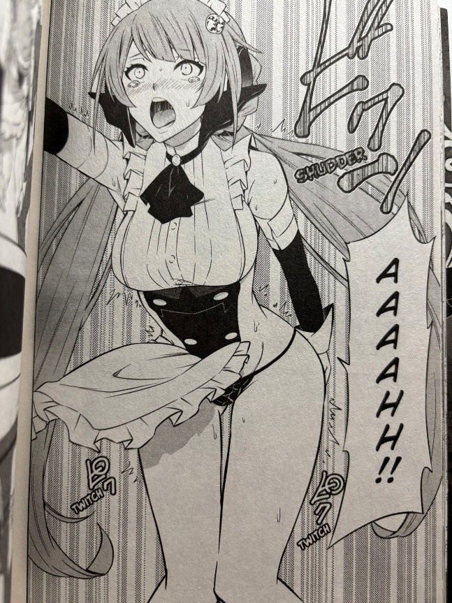 How Not to Summon a Demon Lord Volume 14 Diablo recharged Rose's magic