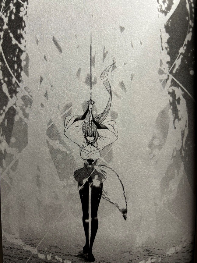 How Not to Summon a Demon Lord Volume 20 Sasara attacks